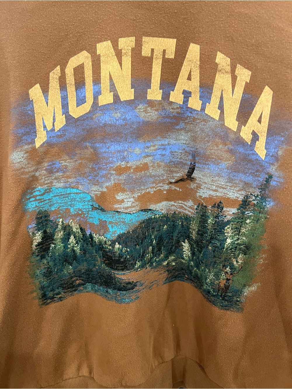 wild fable Brown Montana Graphic Sweatshirt with Blue & Green Scenic Print